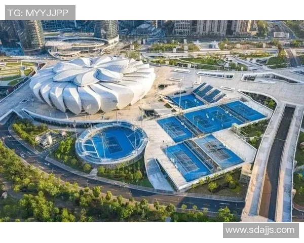 杭州网球队区域防守新策略探索与实践分析