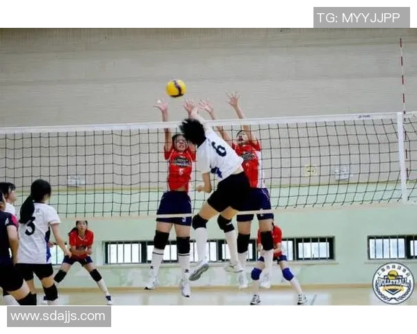 上海排球队在全国排球配合排行榜中荣获第五名的佳绩分析