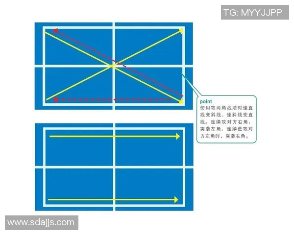 深入分析杭州乒乓球队边路渗透战术的独特魅力与实战应用