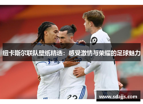 纽卡斯尔联队壁纸精选：感受激情与荣耀的足球魅力