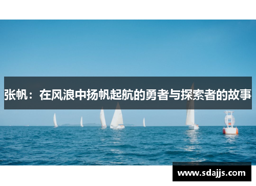 张帆：在风浪中扬帆起航的勇者与探索者的故事