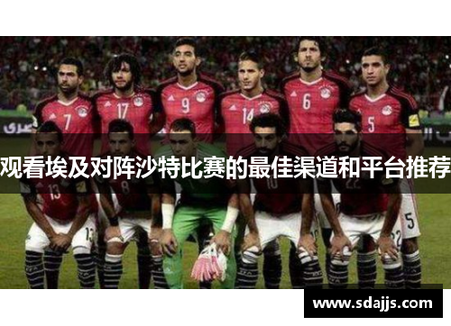 观看埃及对阵沙特比赛的最佳渠道和平台推荐